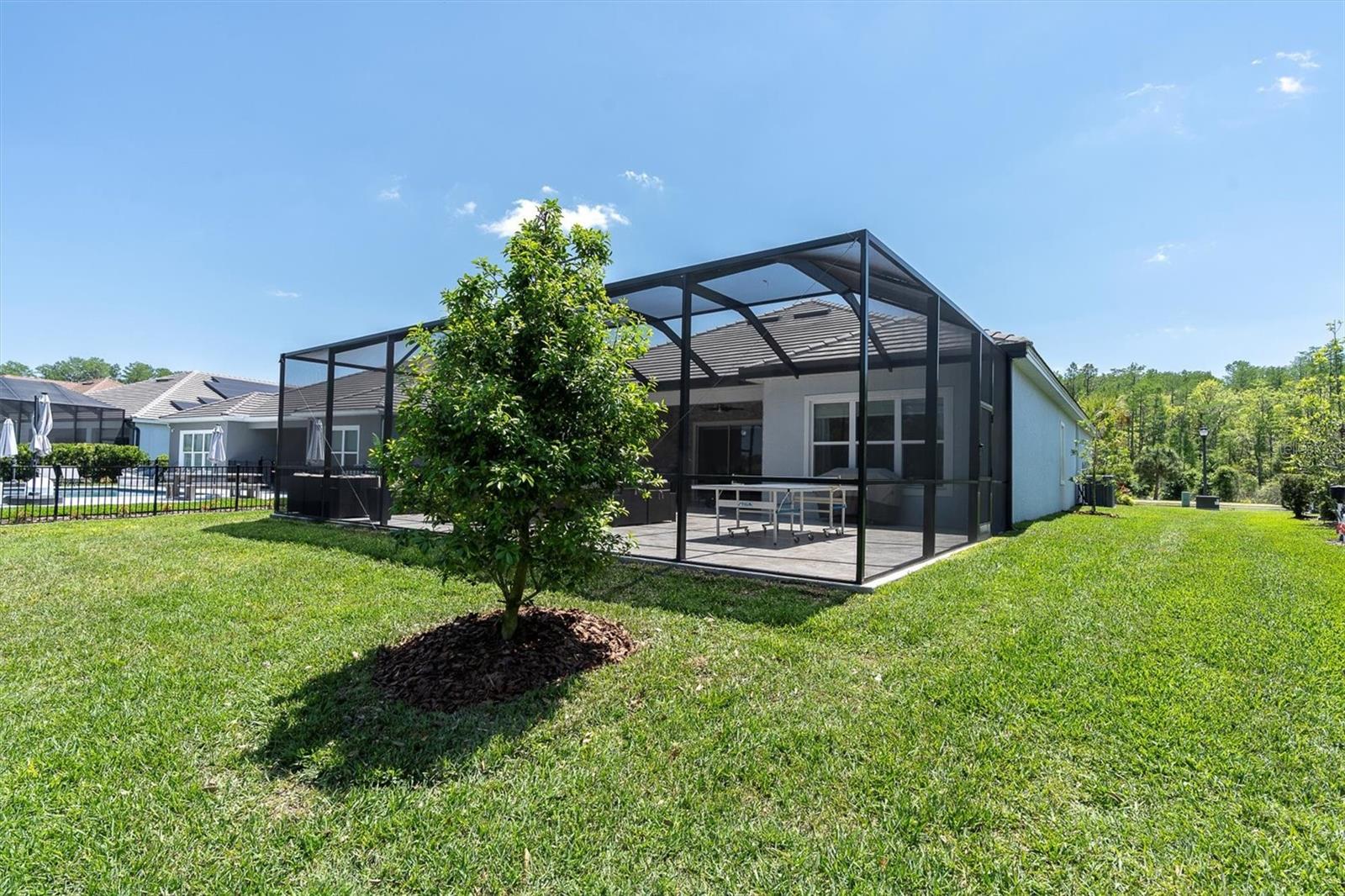 12617 WETMORE CT, ODESSA, FL, 33556