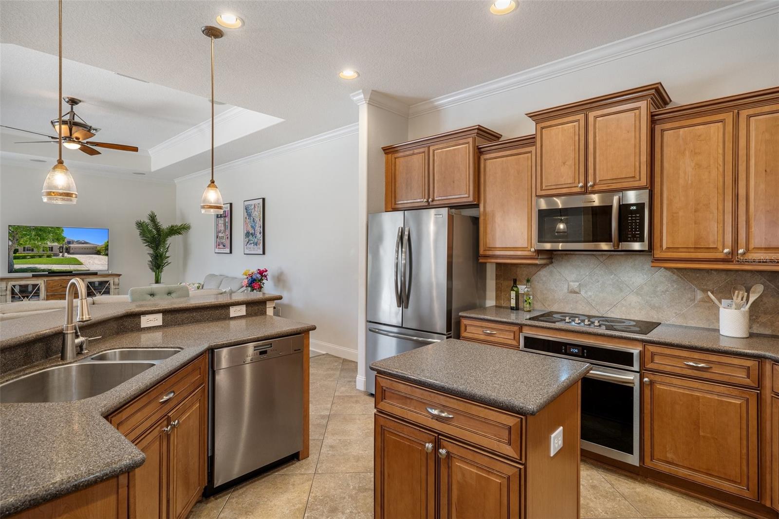 27318 SORA BLVD, WESLEY CHAPEL, FL, 33544