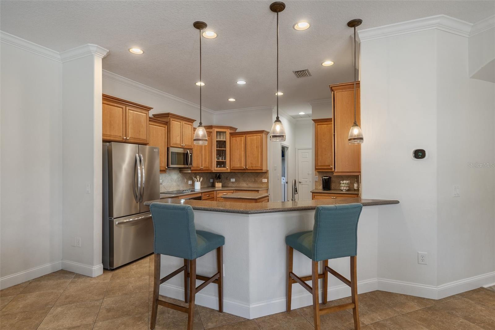 27318 SORA BLVD, WESLEY CHAPEL, FL, 33544