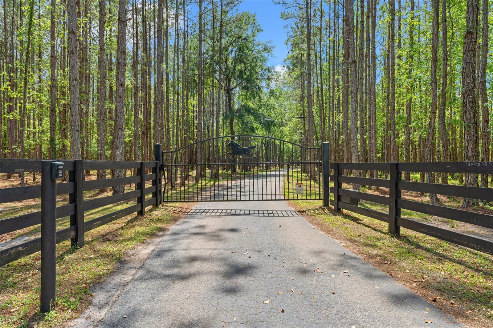 W7874617 Property Photo