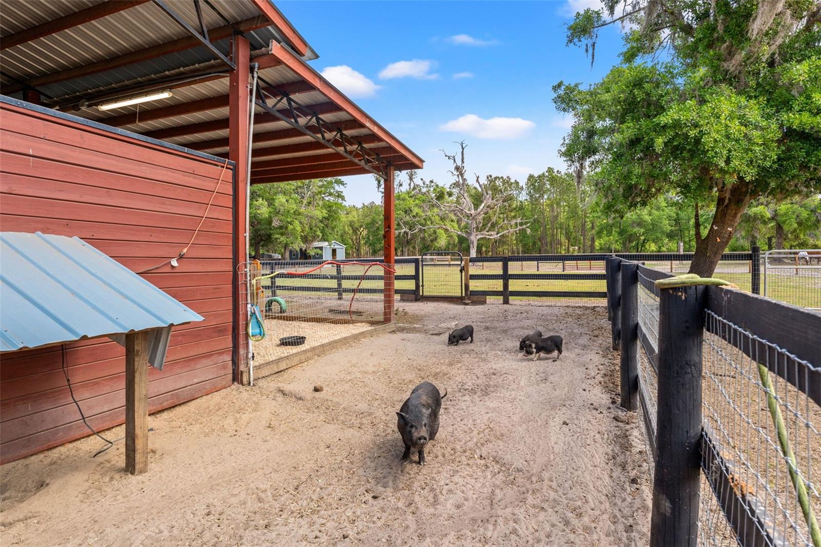 W7874617 Property Photo