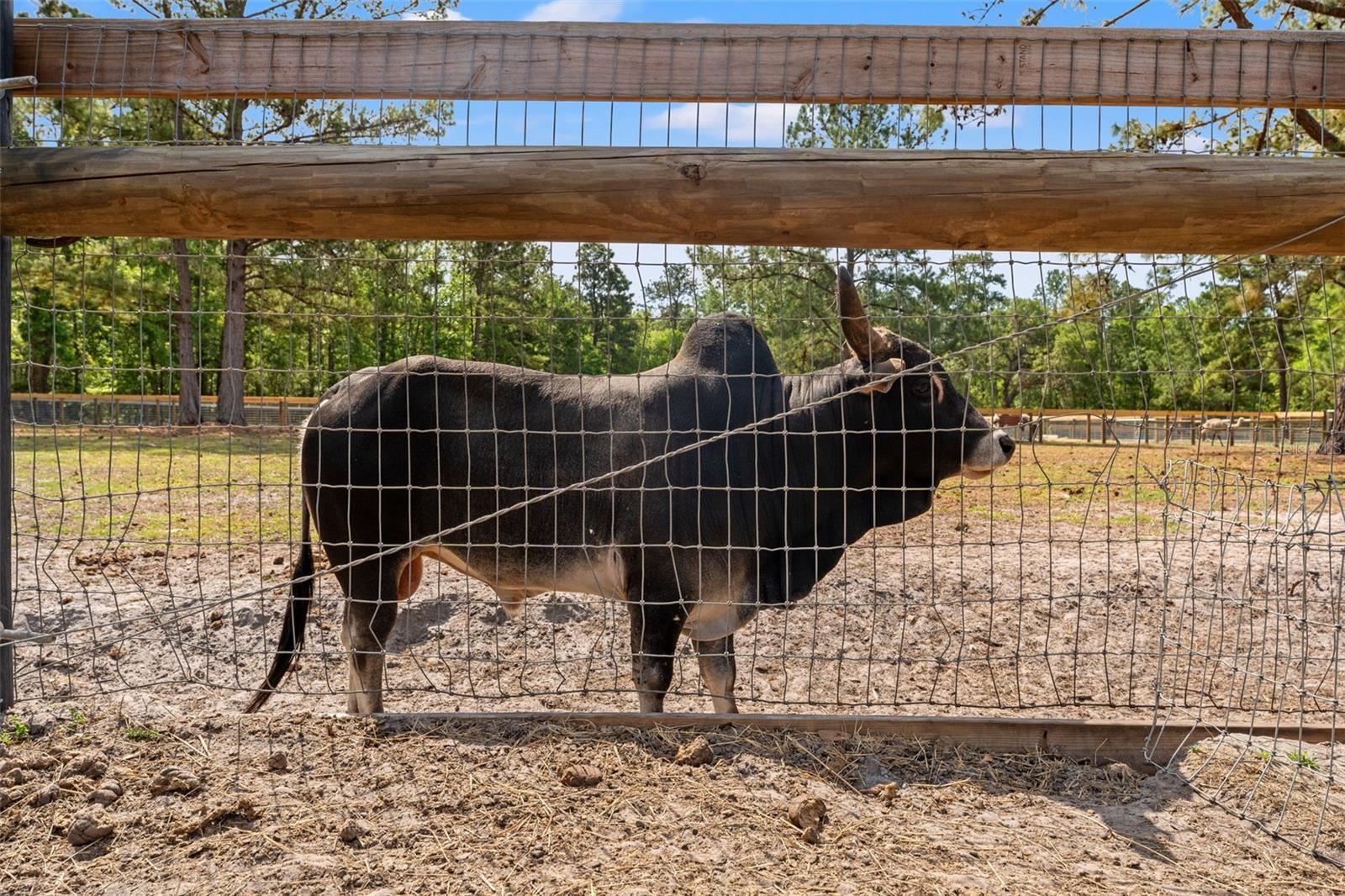 W7874617 Property Photo