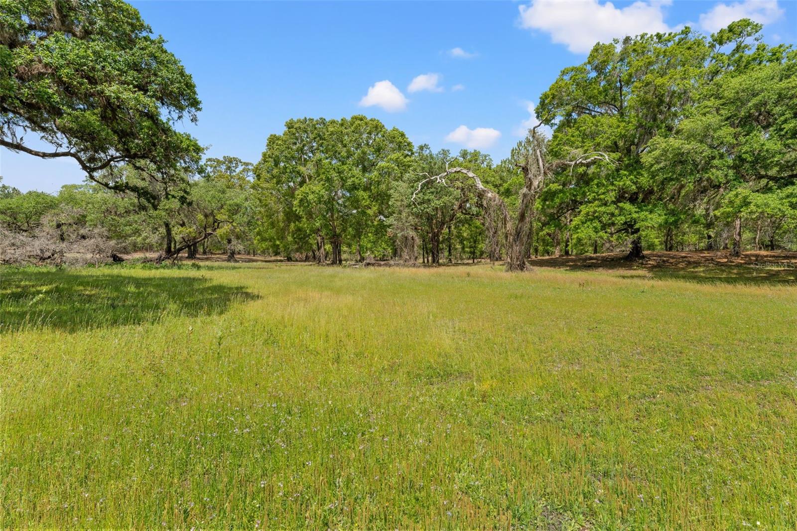 W7874617 Property Photo