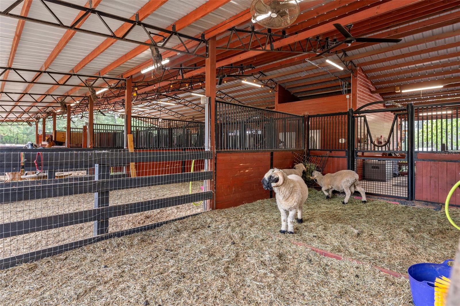 W7874617 Property Photo