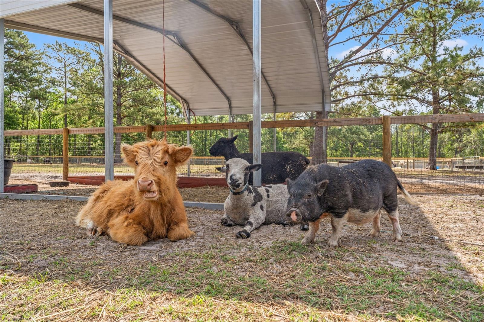 W7874617 Property Photo