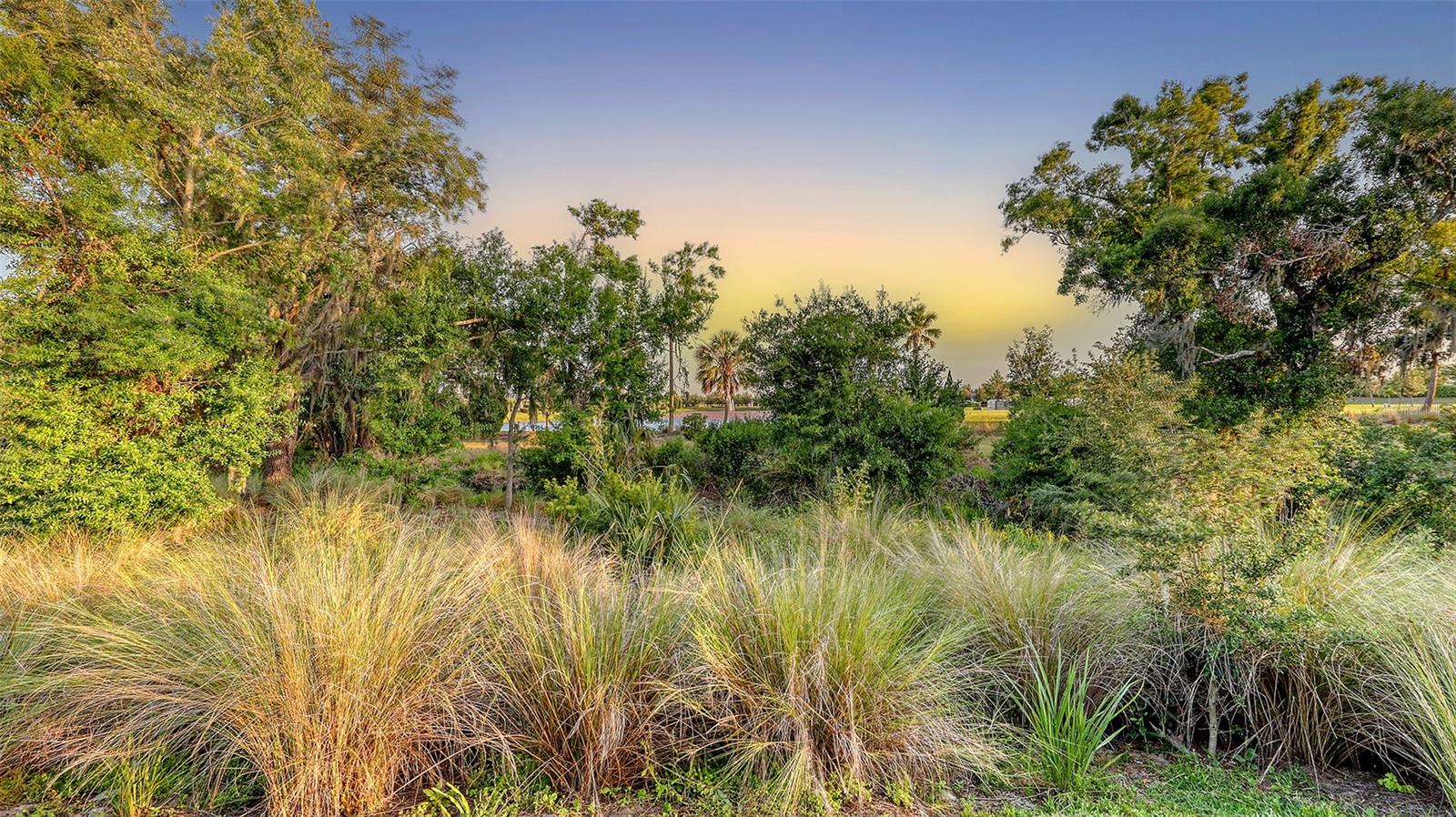 16742 SAVORY MIST CIR, BRADENTON, FL, 34211