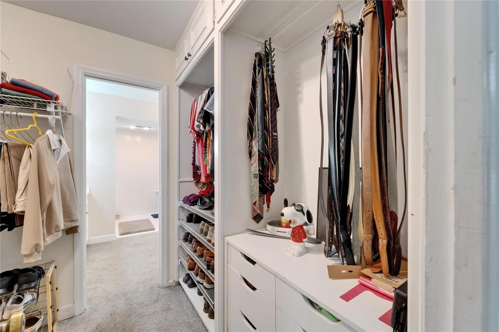 1603 COTTAGEWOOD DR, BRANDON, FL, 33510