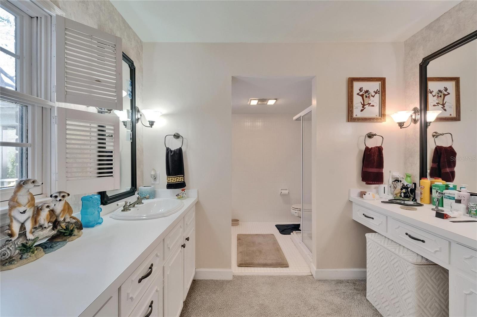 1603 COTTAGEWOOD DR, BRANDON, FL, 33510