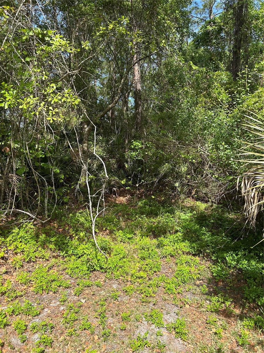 AIRPORT RD, ASTOR, FL, 32102