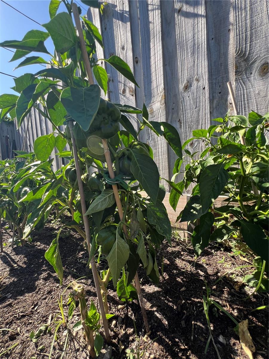 1748 RAGLAND AVE, CLEARWATER, FL, 33765