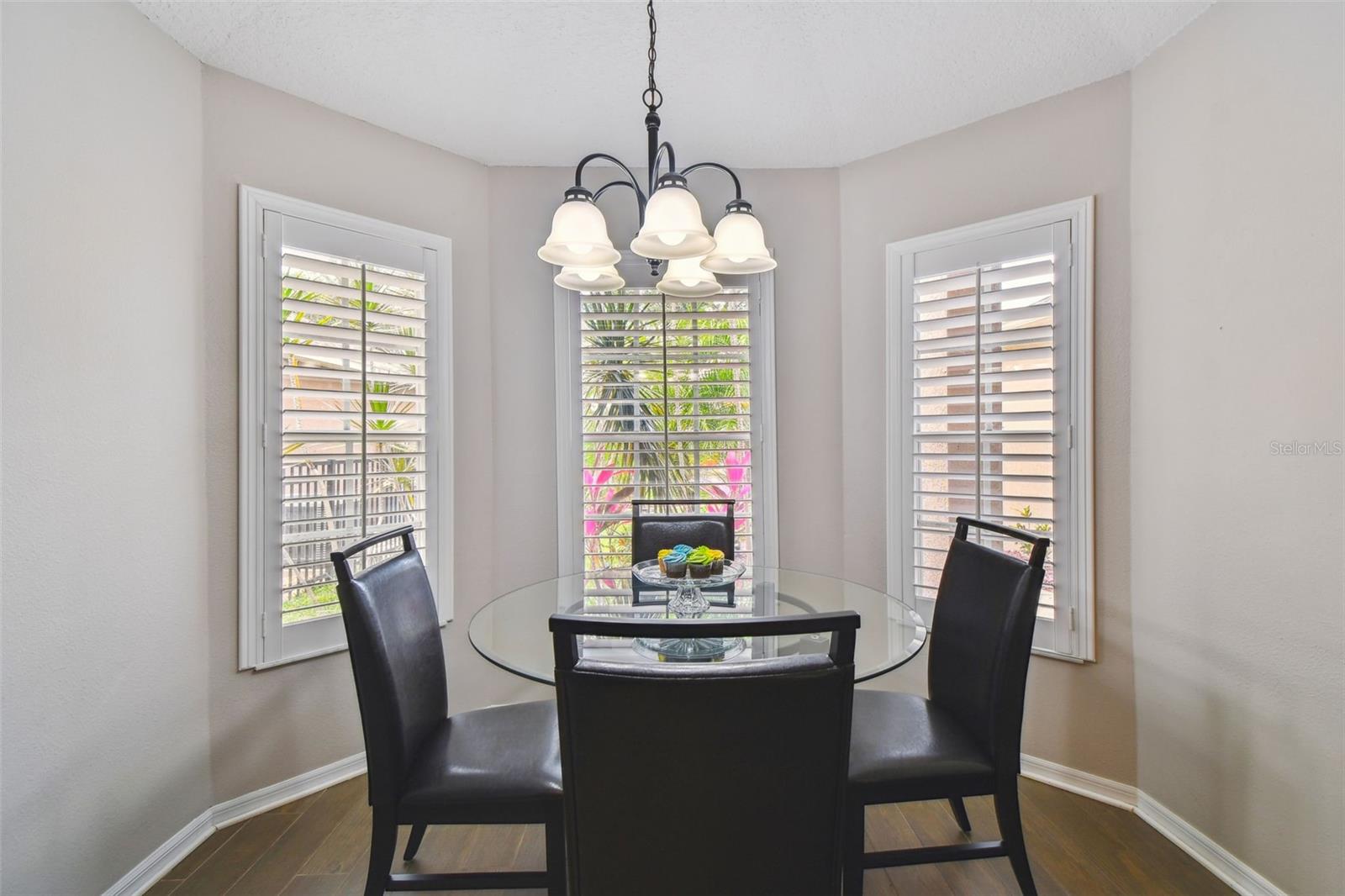 6006 CHELLAS CT, LUTZ, FL, 33558