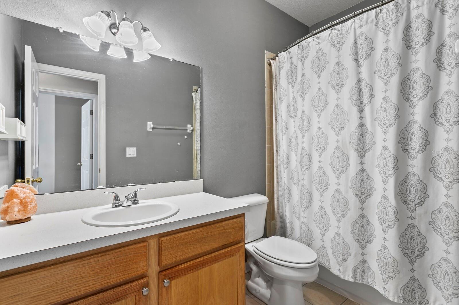 13312 TIGER LILLY LN, TAMPA, FL, 33625