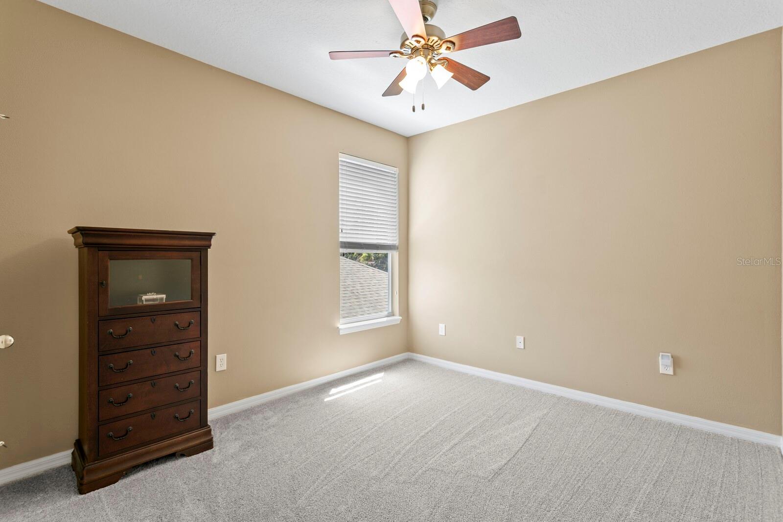 13312 TIGER LILLY LN, TAMPA, FL, 33625