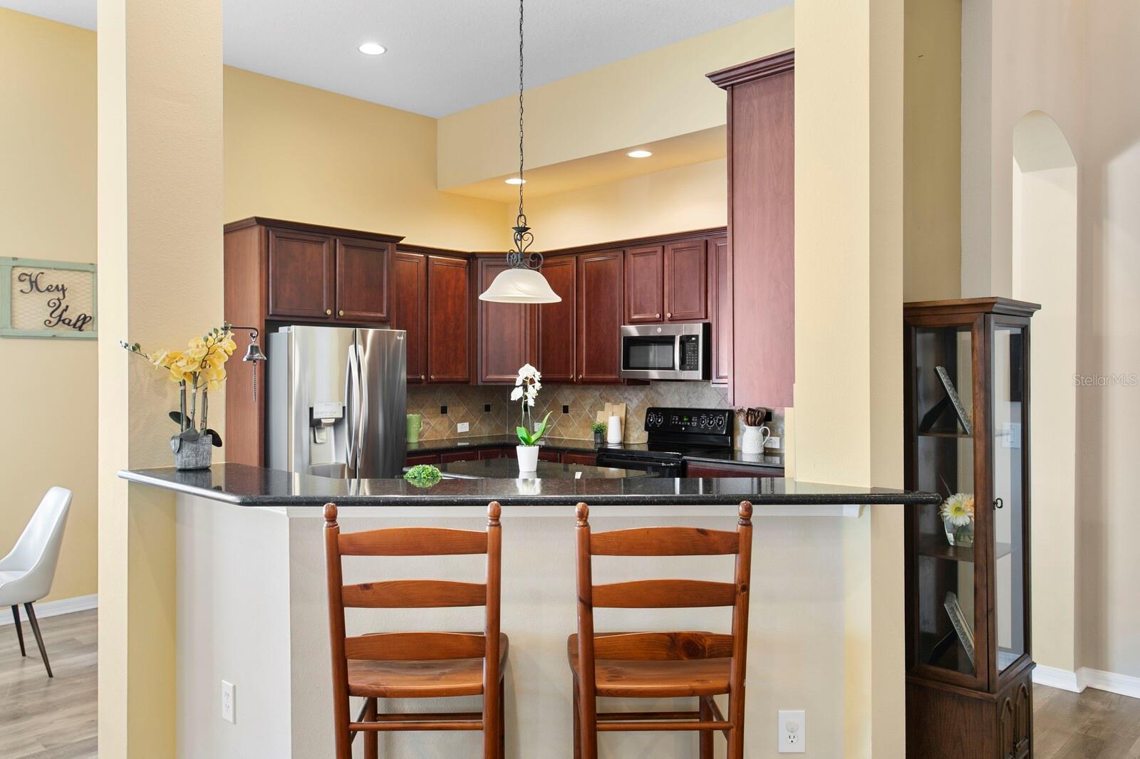 13312 TIGER LILLY LN, TAMPA, FL, 33625