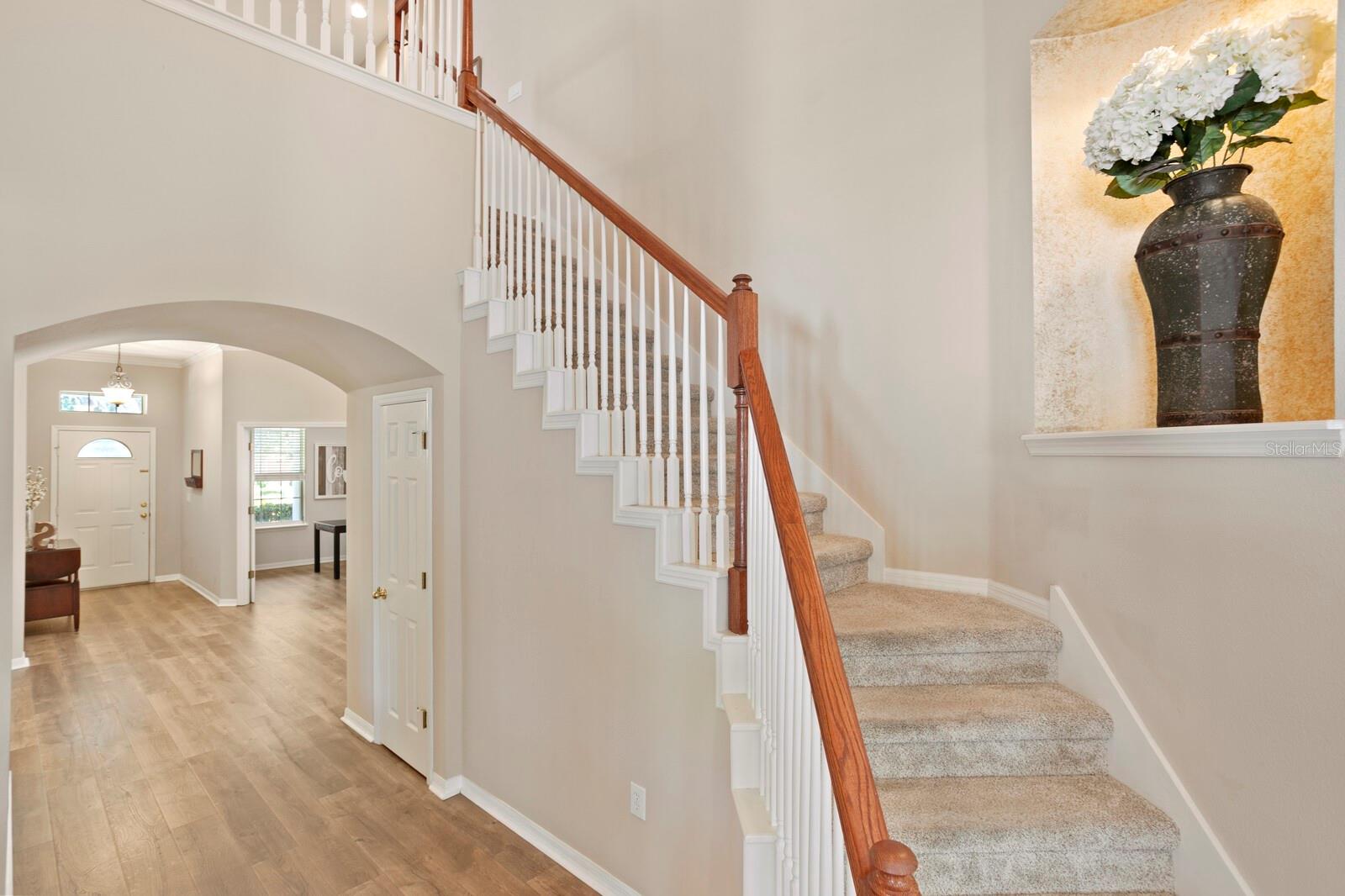 13312 TIGER LILLY LN, TAMPA, FL, 33625