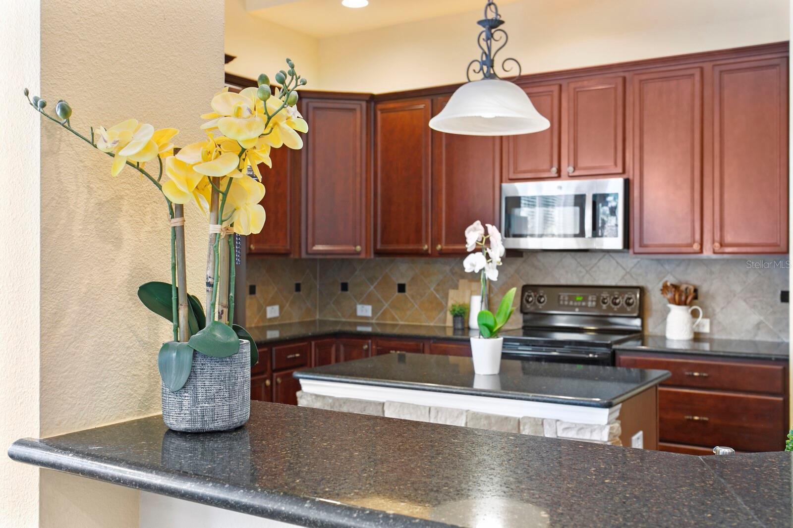 13312 TIGER LILLY LN, TAMPA, FL, 33625