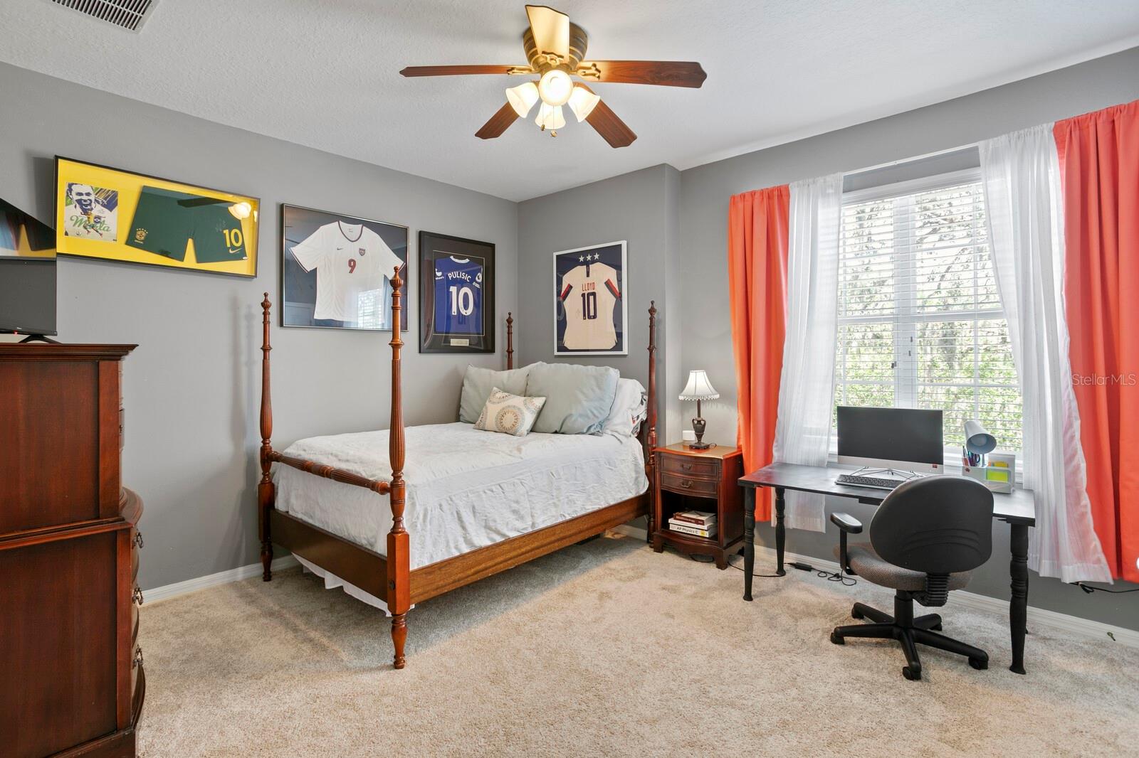 13312 TIGER LILLY LN, TAMPA, FL, 33625