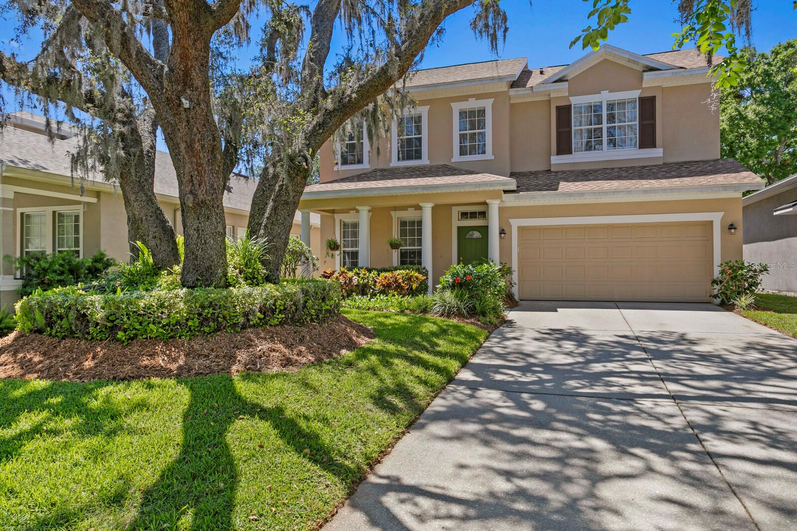 13312 TIGER LILLY LN, TAMPA, FL, 33625