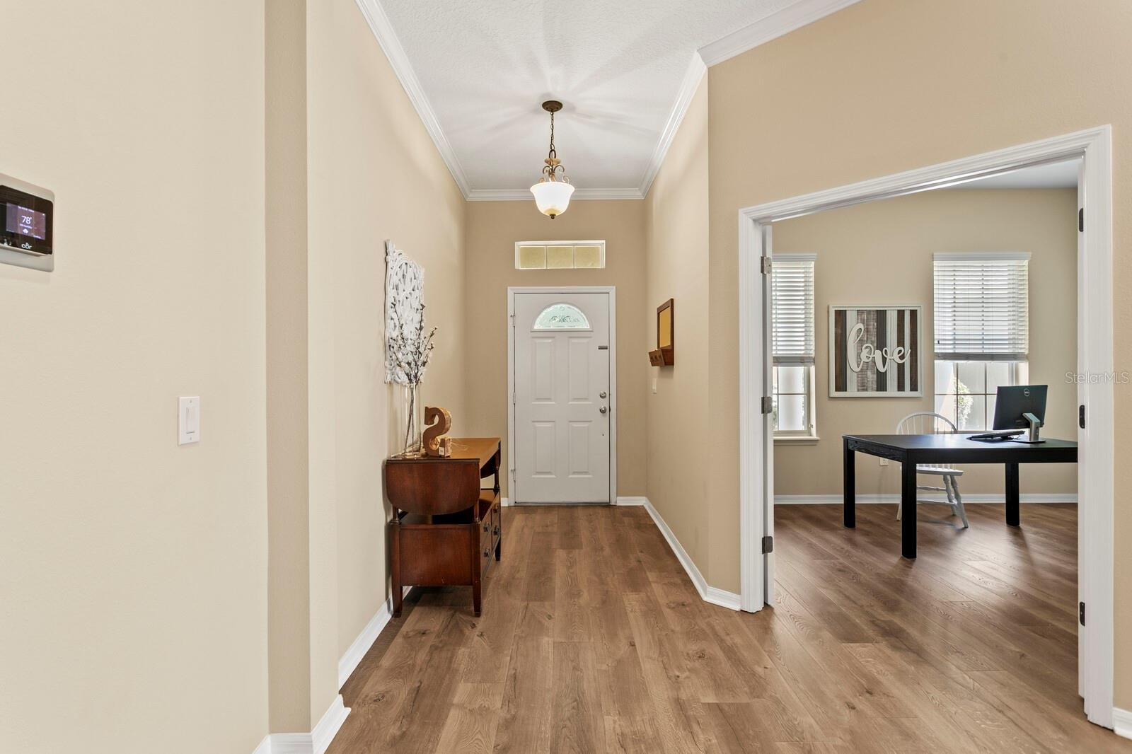 13312 TIGER LILLY LN, TAMPA, FL, 33625