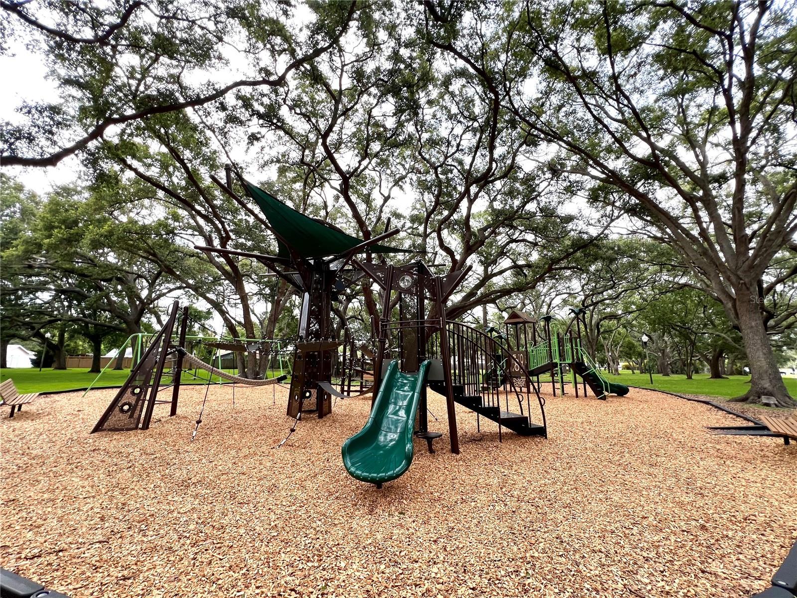 1428 CHESTERFIELD DR, DUNEDIN, FL, 34698