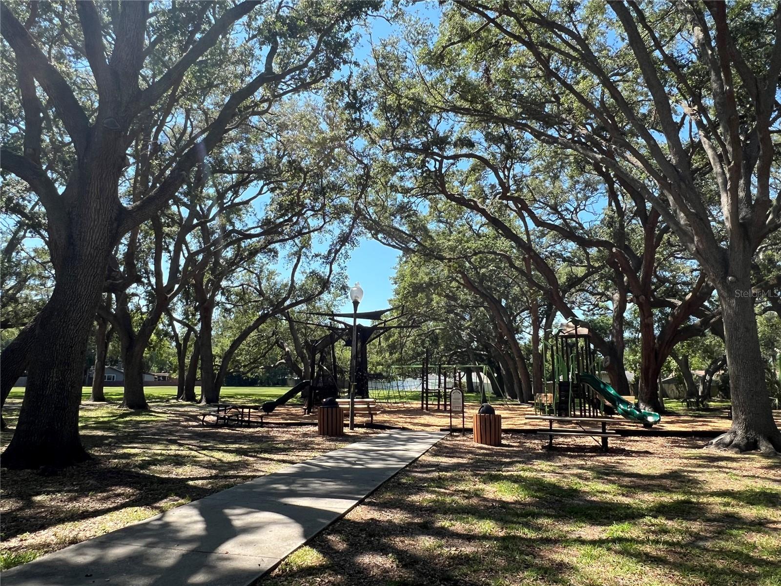 1428 CHESTERFIELD DR, DUNEDIN, FL, 34698