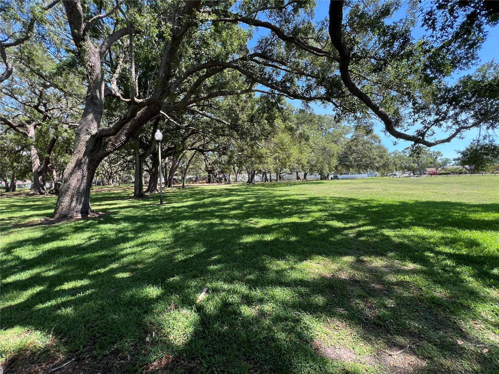 1428 CHESTERFIELD DR, DUNEDIN, FL, 34698
