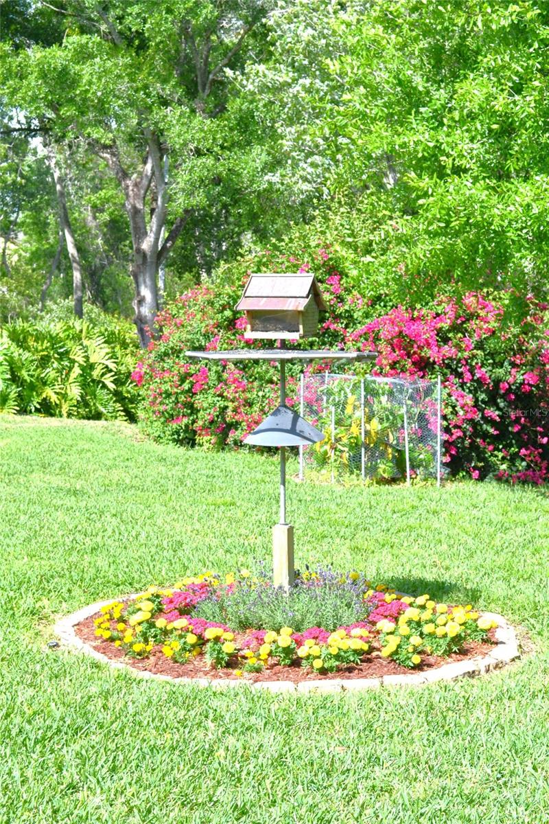 6901 ARABIAN RD, ODESSA, FL, 33556