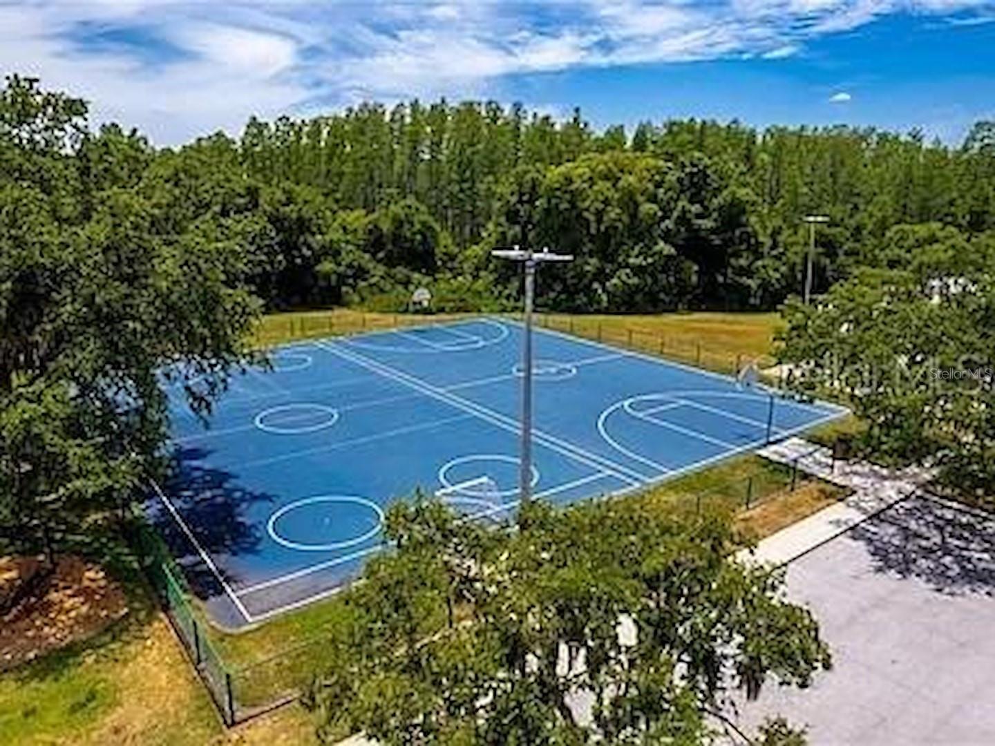 6901 ARABIAN RD, ODESSA, FL, 33556