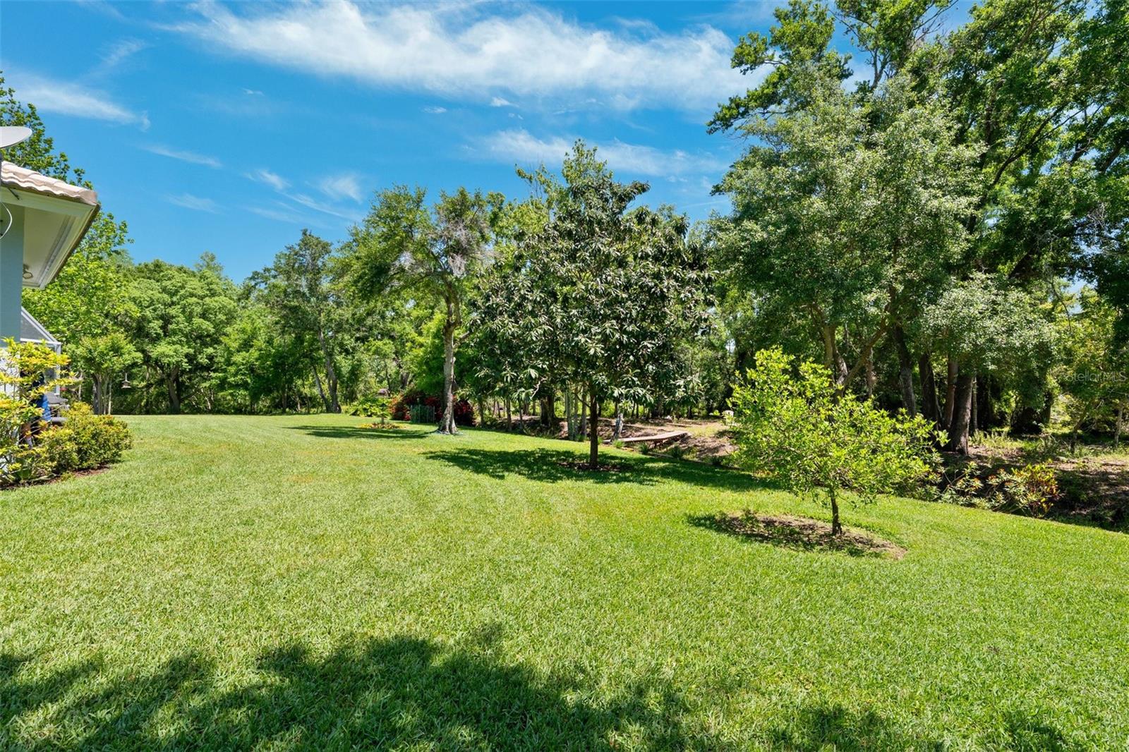 6901 ARABIAN RD, ODESSA, FL, 33556