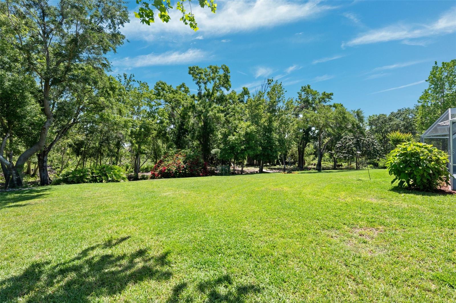 6901 ARABIAN RD, ODESSA, FL, 33556