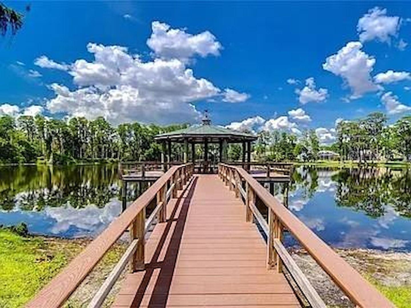 6901 ARABIAN RD, ODESSA, FL, 33556