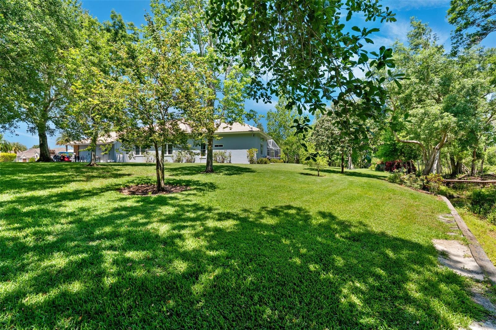 6901 ARABIAN RD, ODESSA, FL, 33556