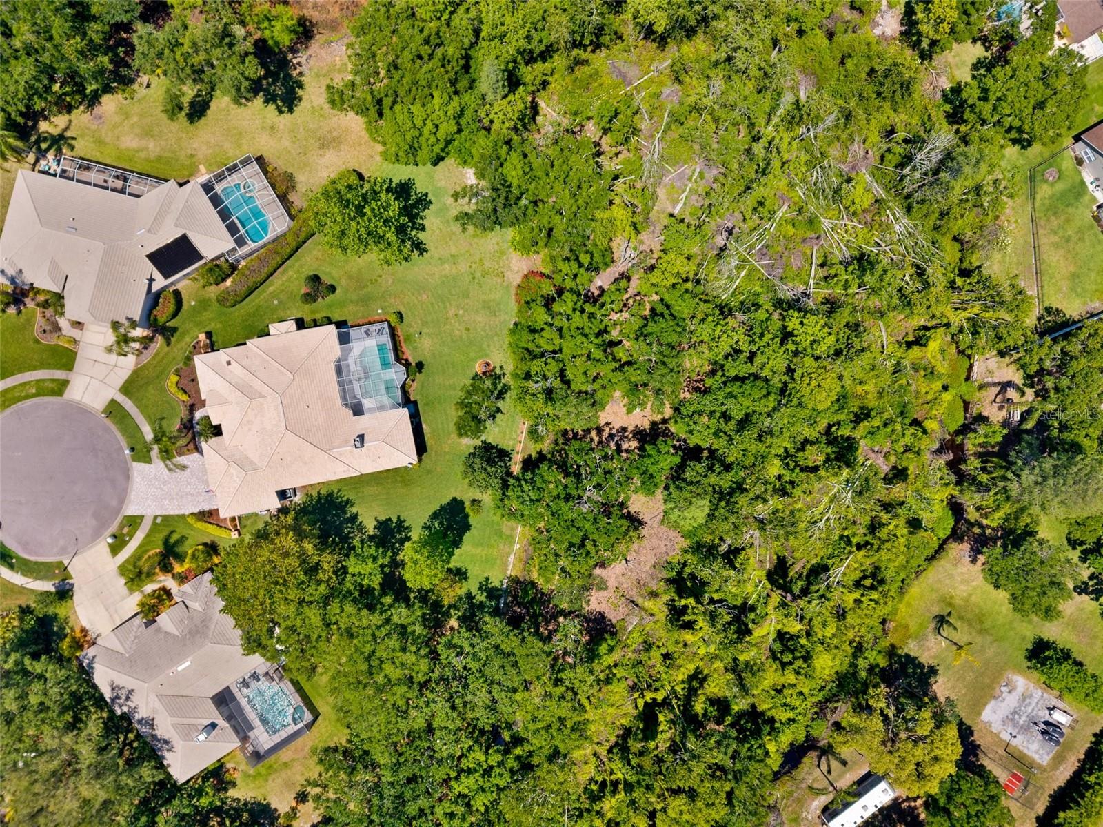 6901 ARABIAN RD, ODESSA, FL, 33556