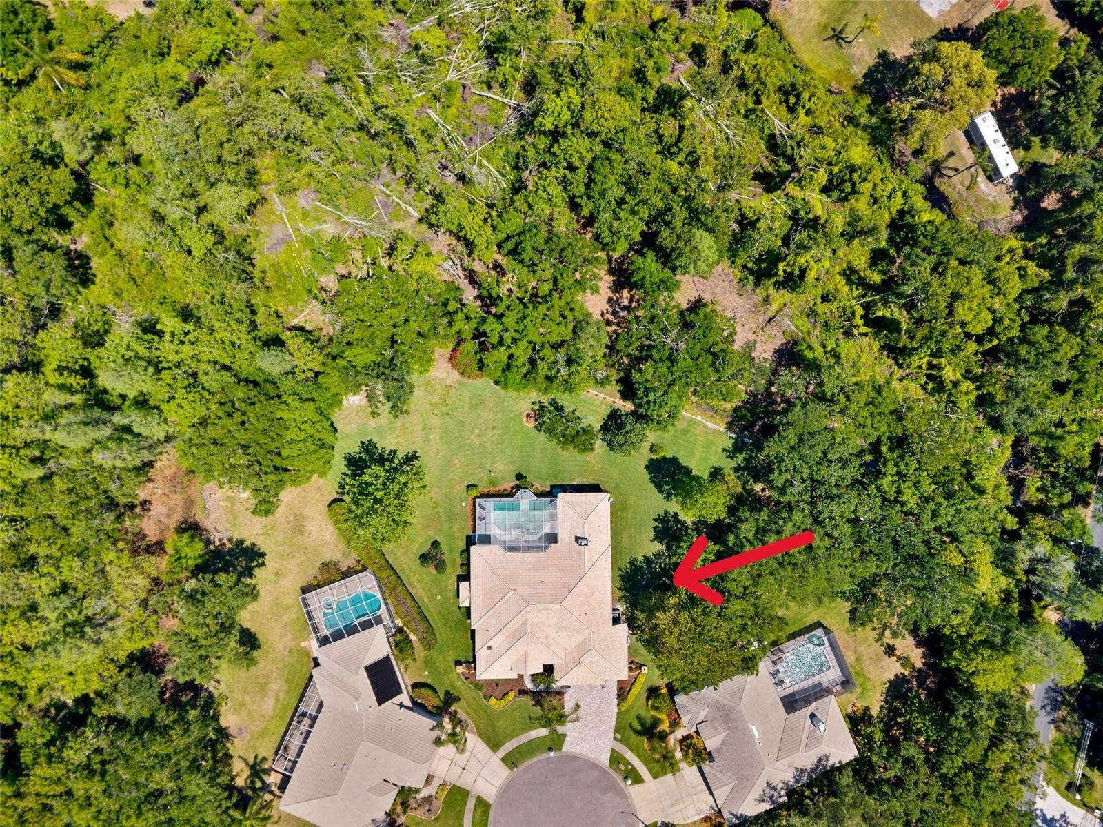 6901 ARABIAN RD, ODESSA, FL, 33556