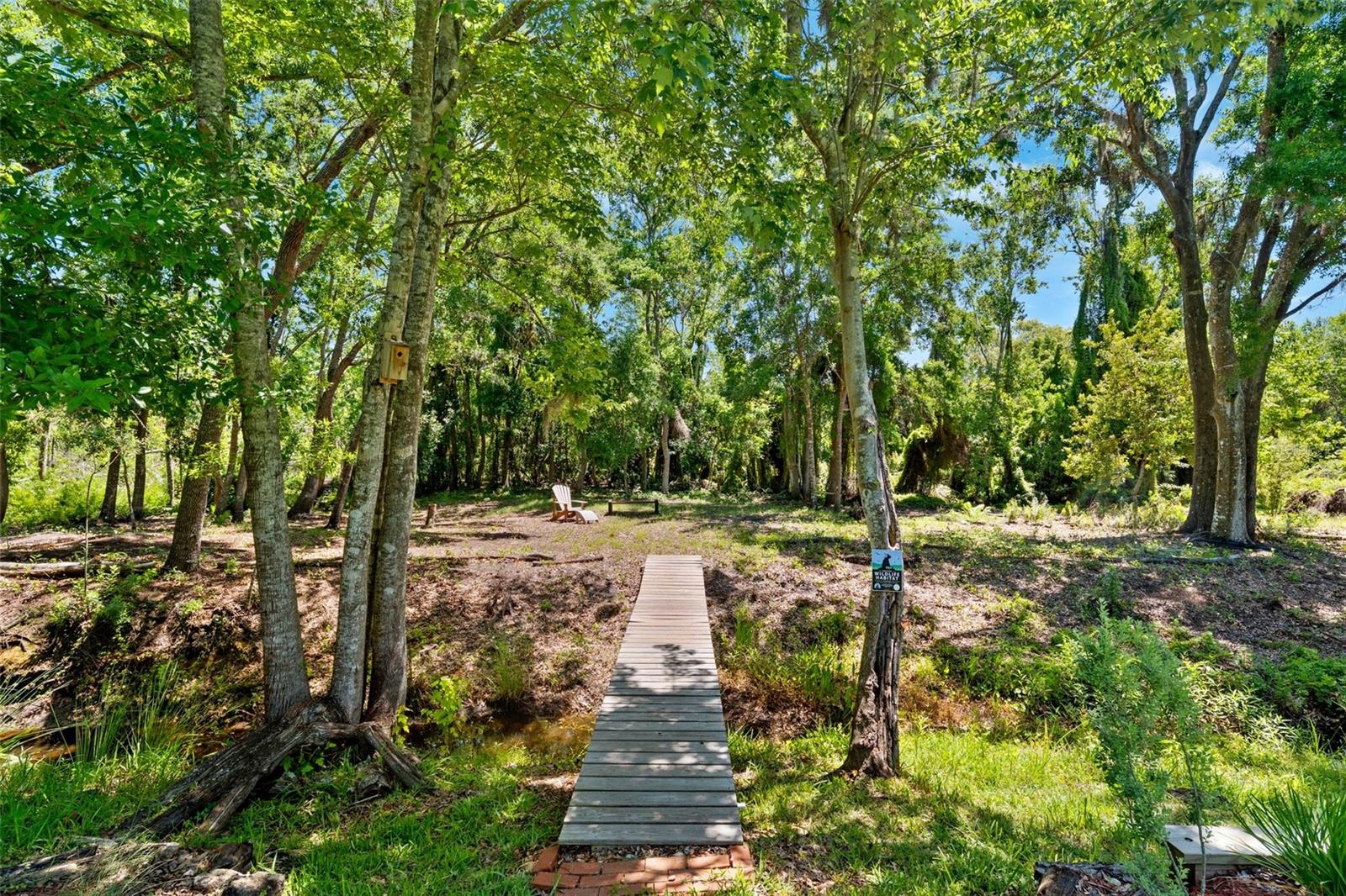 6901 ARABIAN RD, ODESSA, FL, 33556