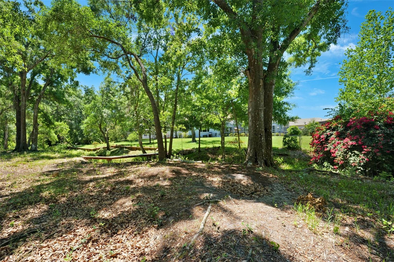 6901 ARABIAN RD, ODESSA, FL, 33556