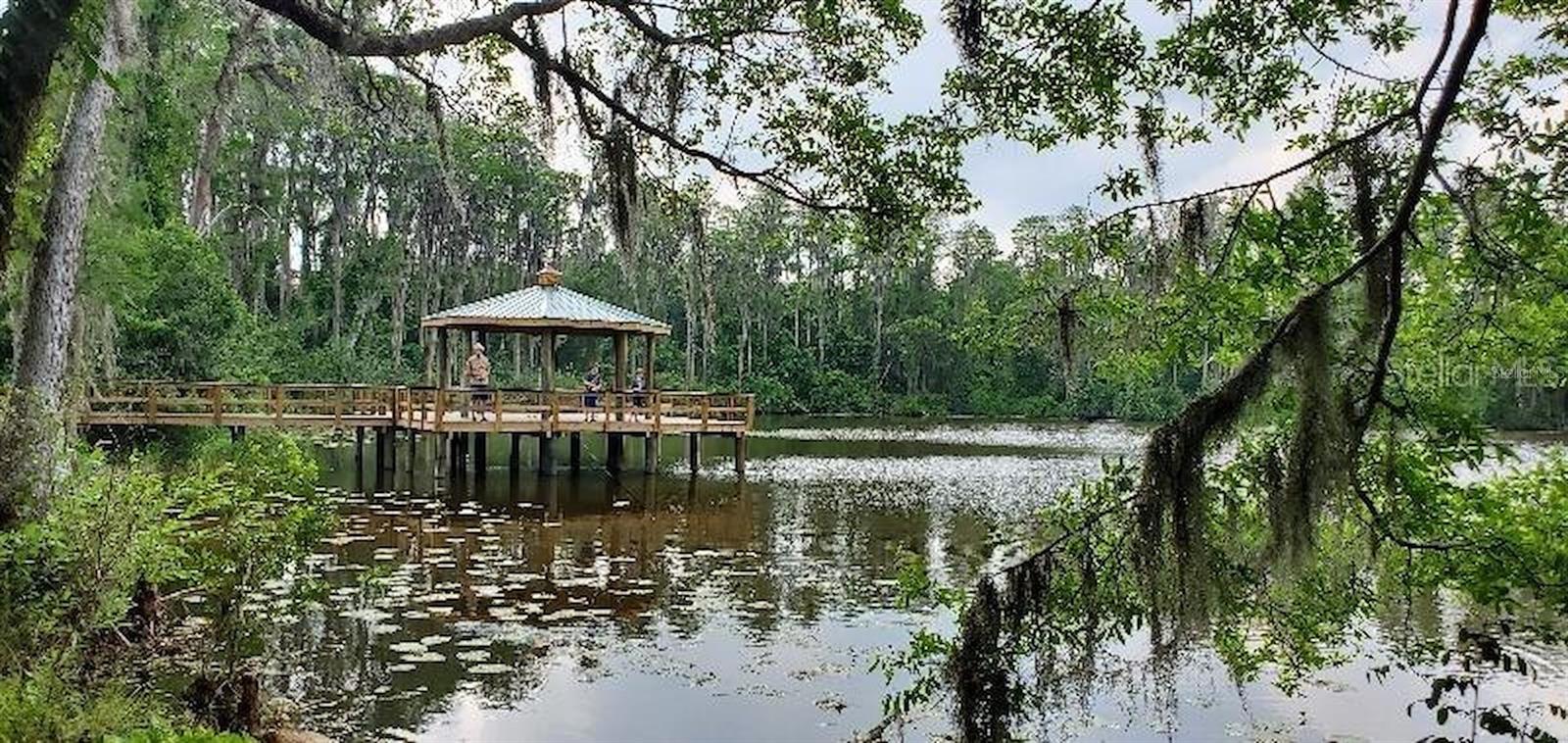 6901 ARABIAN RD, ODESSA, FL, 33556