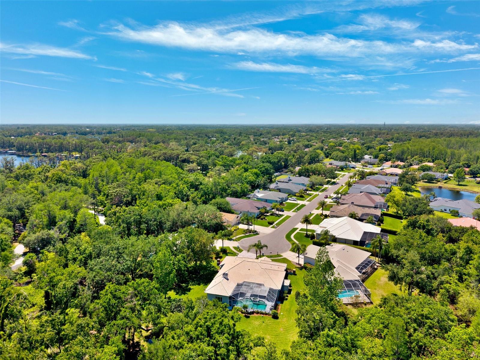 6901 ARABIAN RD, ODESSA, FL, 33556