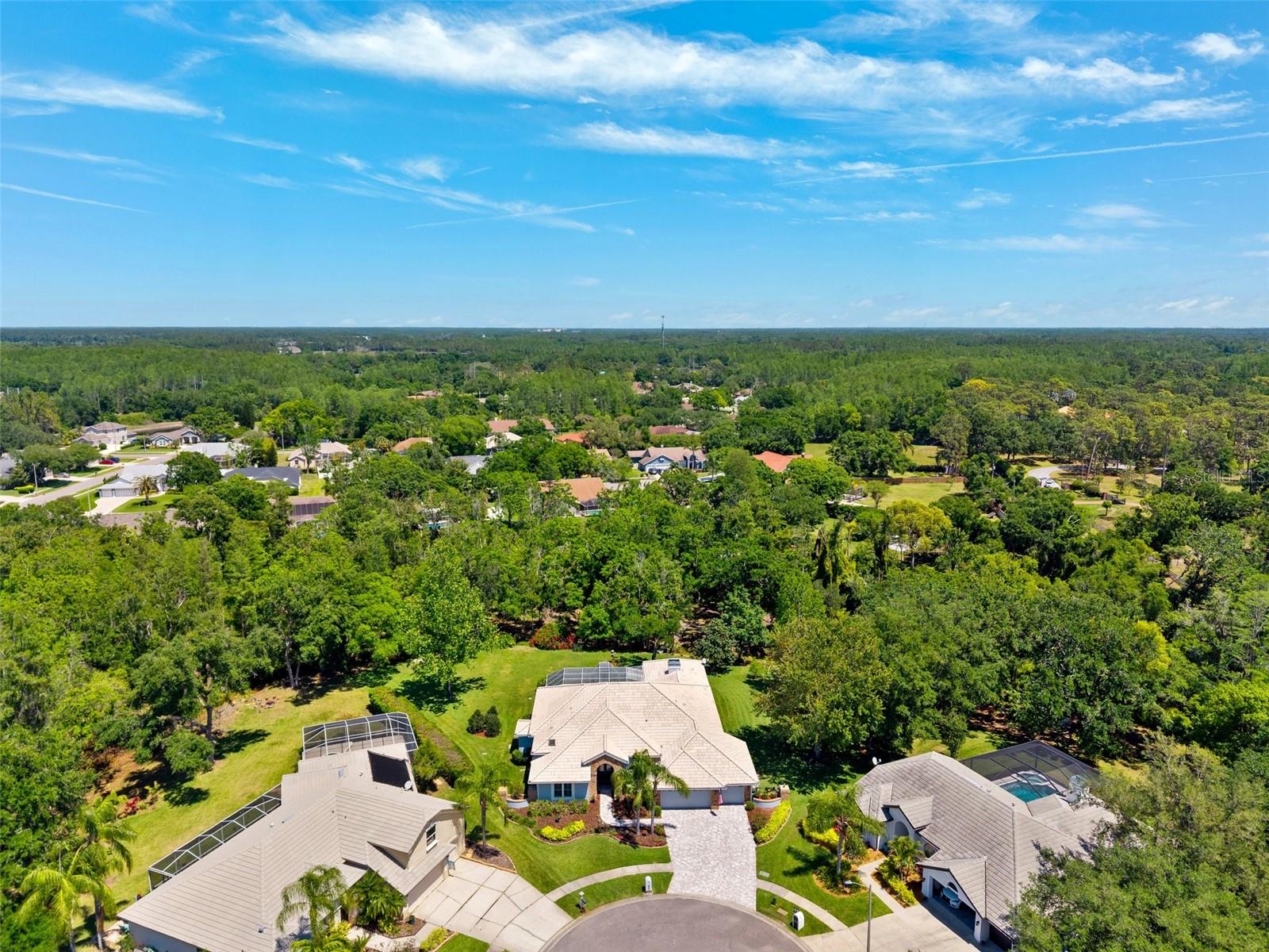 6901 ARABIAN RD, ODESSA, FL, 33556