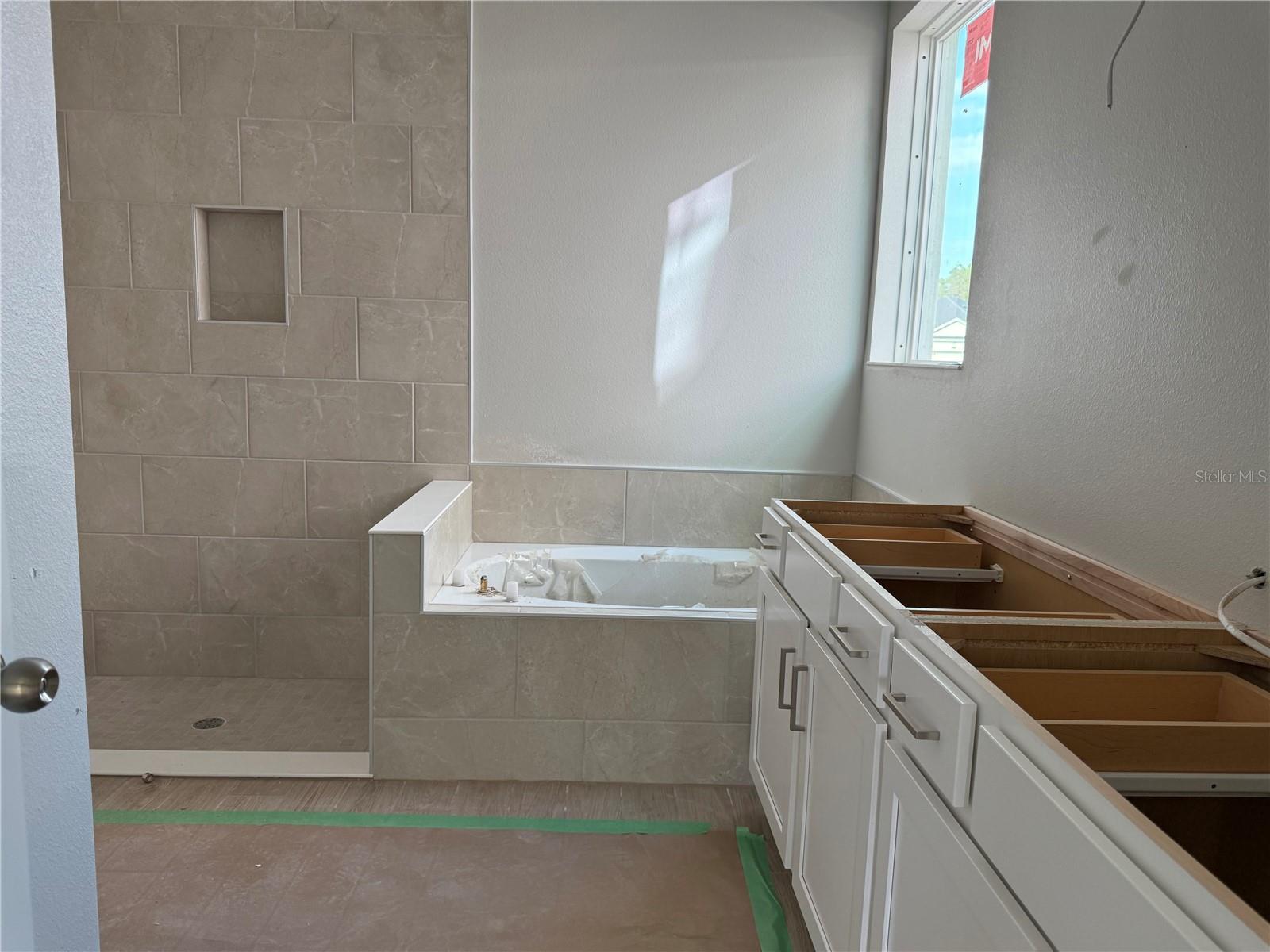 738 POINTE EMERSON BLVD, APOPKA, FL, 32703