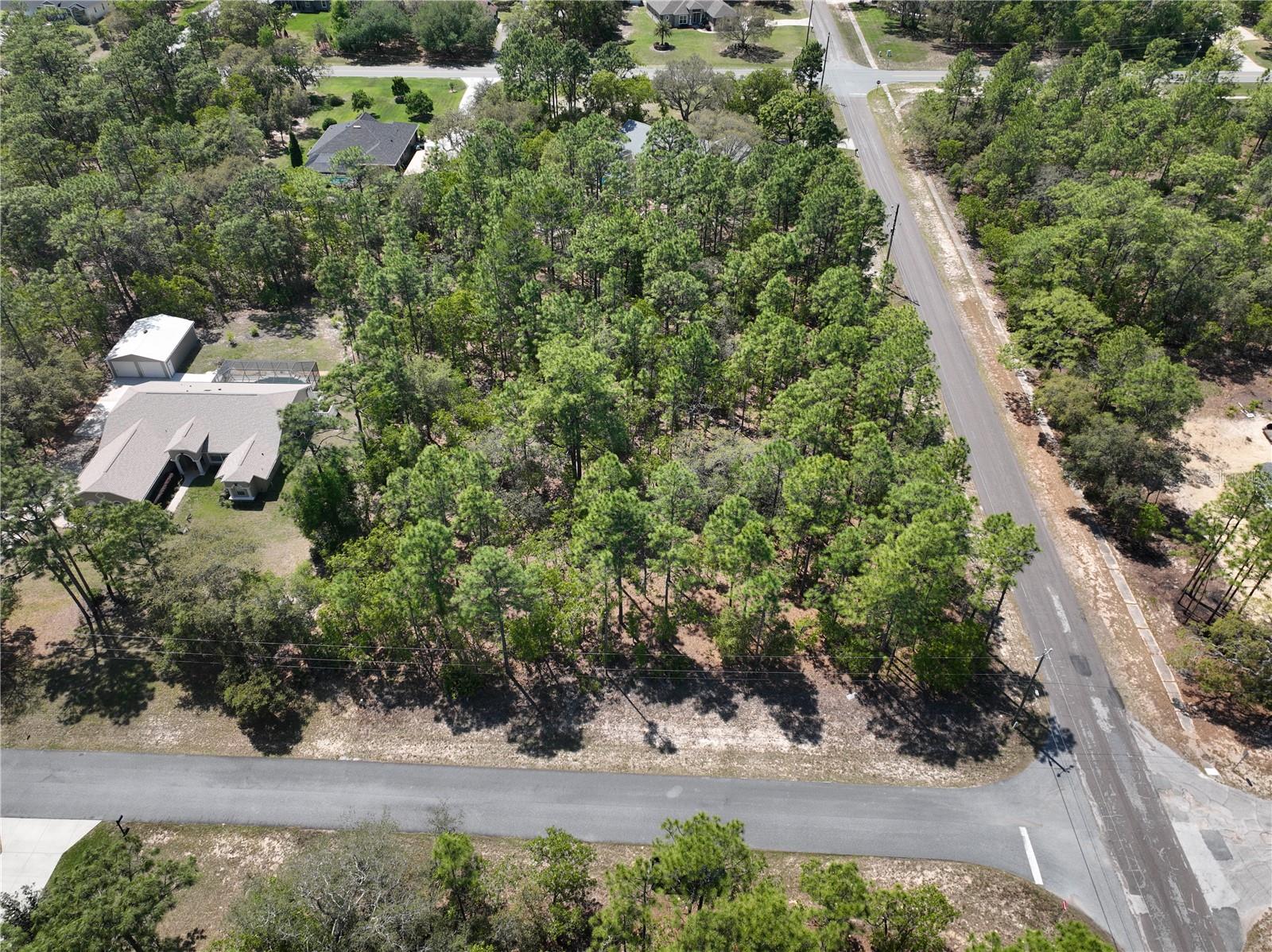 4600 N FICUS DR, BEVERLY HILLS, FL, 34465