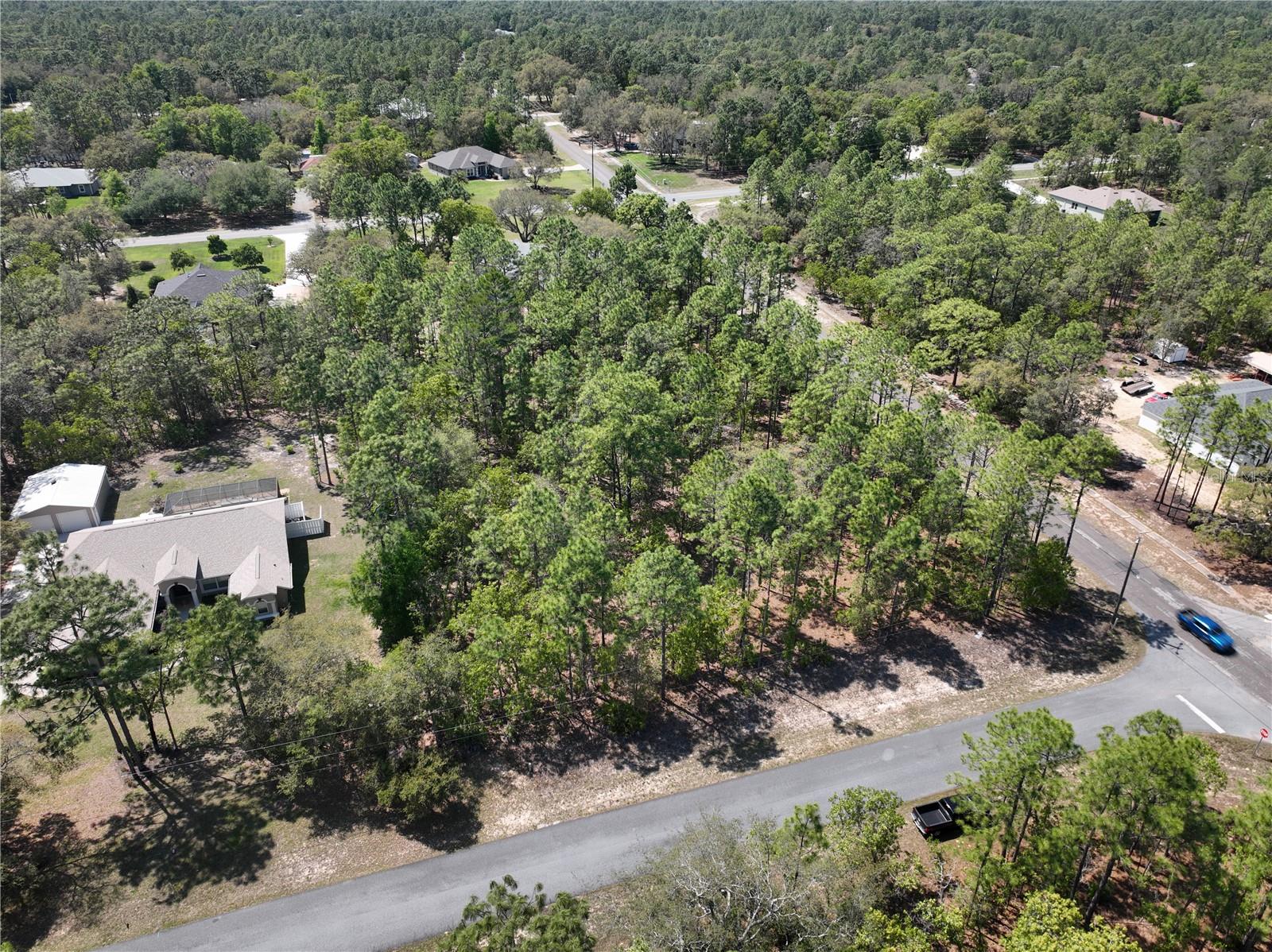 4600 N FICUS DR, BEVERLY HILLS, FL, 34465