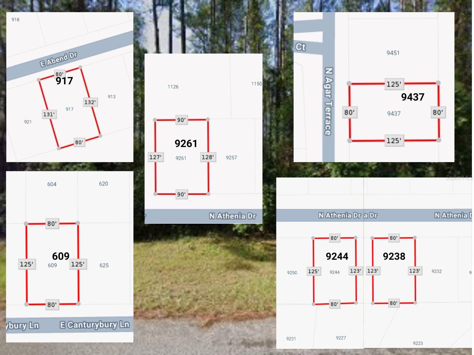 9238 N ATHENIA DR, CITRUS SPRINGS, FL, 34434