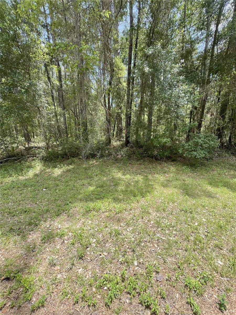 9238 N ATHENIA DR, CITRUS SPRINGS, FL, 34434