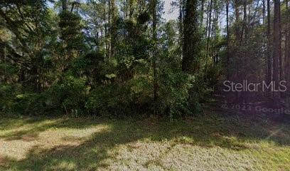 9238 N ATHENIA DR, CITRUS SPRINGS, FL, 34434