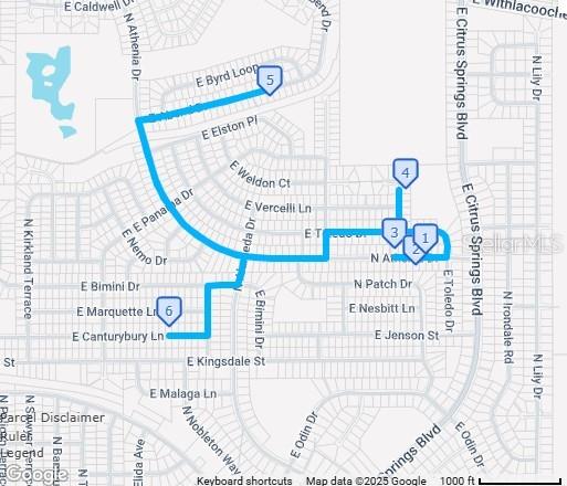 9238 N ATHENIA DR, CITRUS SPRINGS, FL, 34434