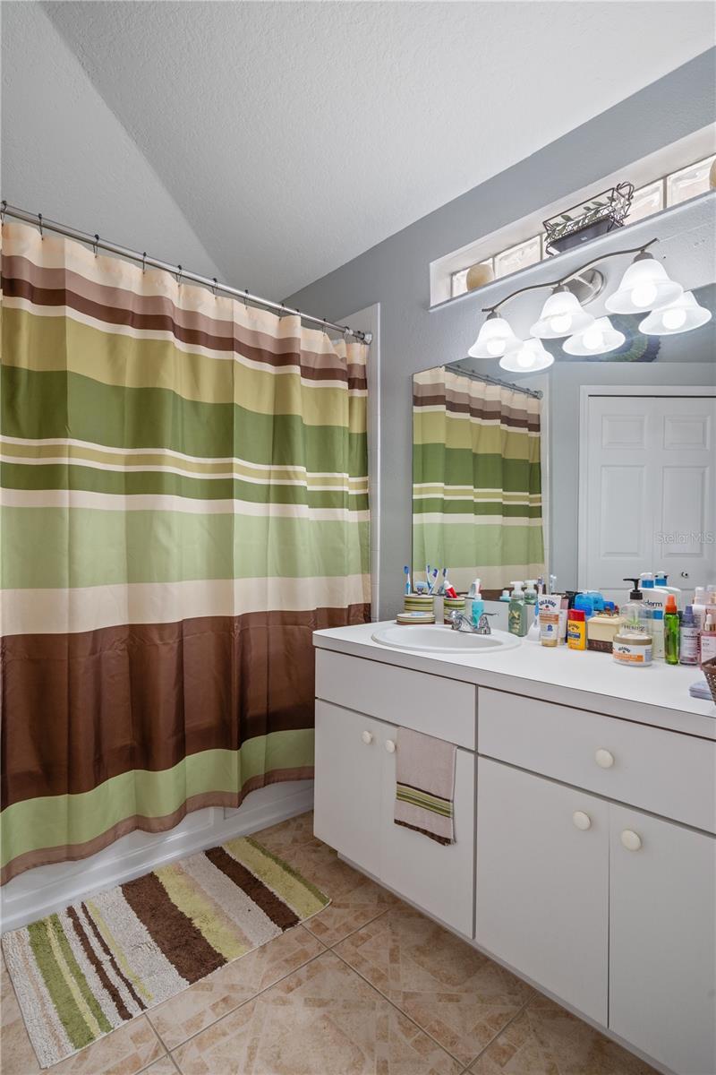 10355 LAKESIDE VISTA DR, RIVERVIEW, FL, 33569