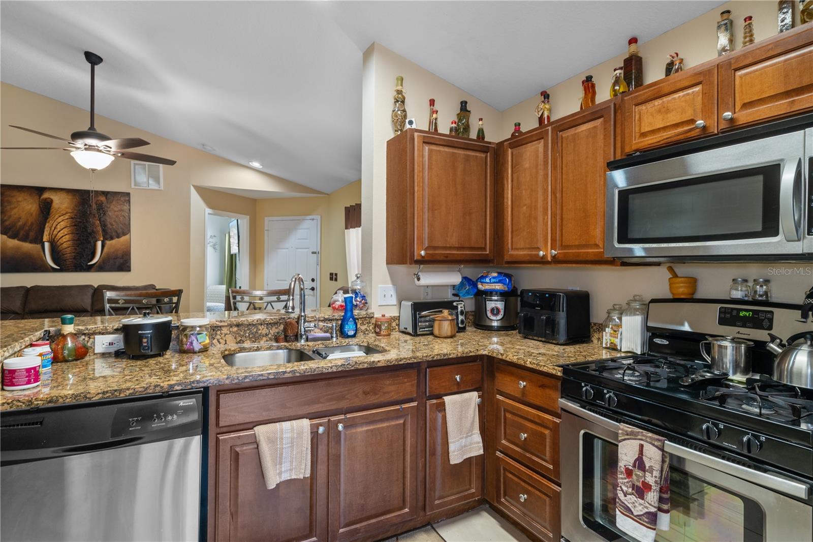 10355 LAKESIDE VISTA DR, RIVERVIEW, FL, 33569