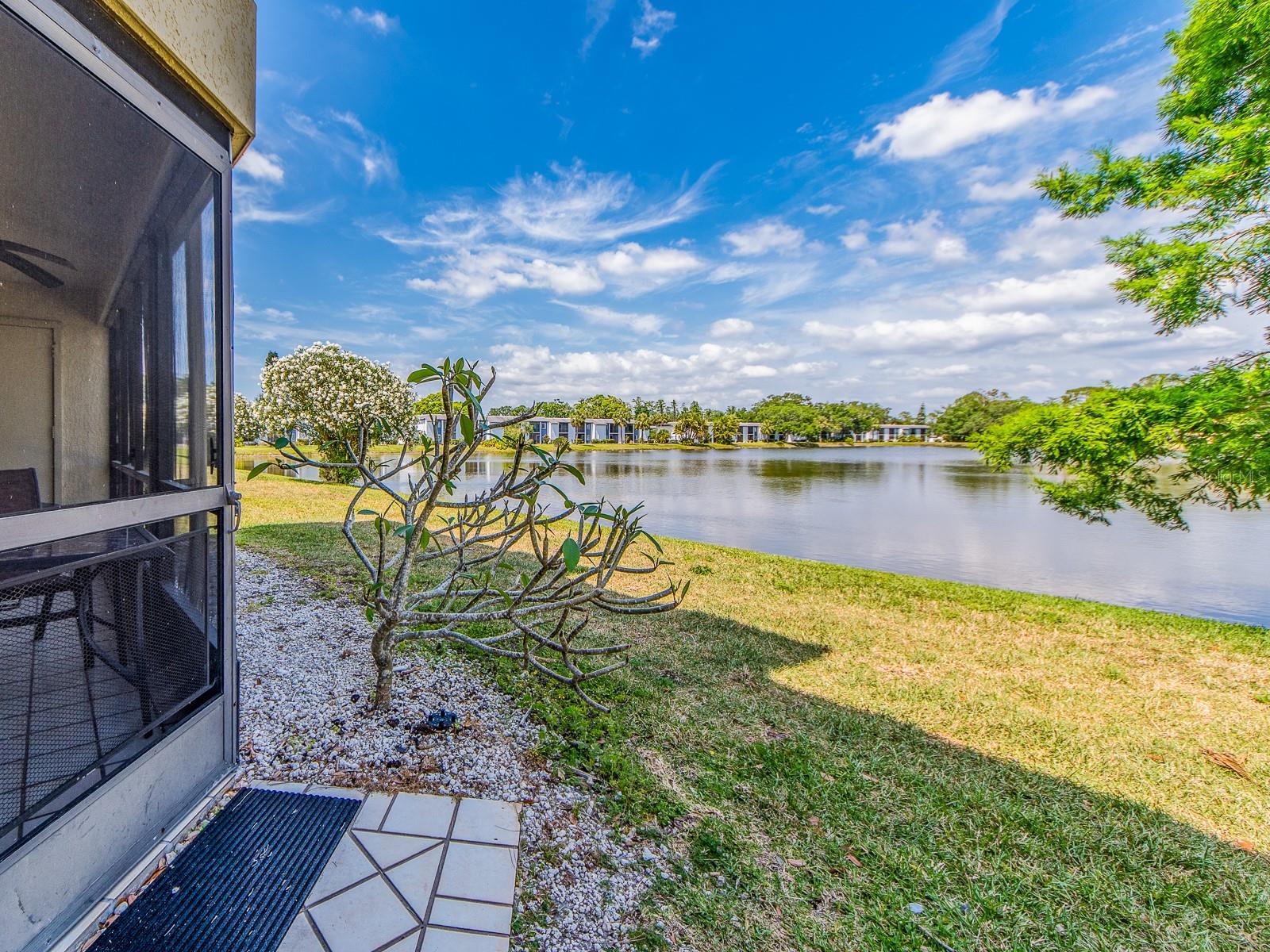 303 WOODLAKE WYNDE, OLDSMAR, FL, 34677