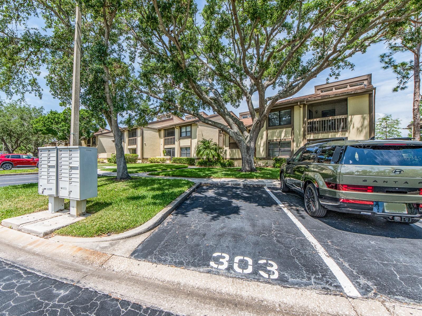 303 WOODLAKE WYNDE, OLDSMAR, FL, 34677